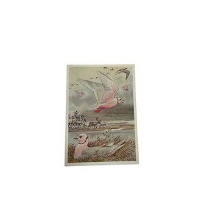 Vintage Postcard Russian Illustrated Gulls and Reindeer u
